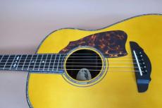 Terry's Terry Premium Terry PTJ-100GB / Abalone Head and Body Trim and Rosette・Premium German Spruce Top・Premium　Jacaranda Side and Back・Tortoiseshell Pick-guard・Honduras Mahogany Neck【With Original Hard Ca_12
