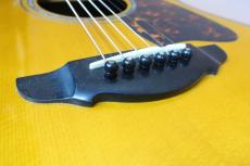 Terry's Terry Premium Terry PTJ-100GB / Abalone Head and Body Trim and Rosette・Premium German Spruce Top・Premium　Jacaranda Side and Back・Tortoiseshell Pick-guard・Honduras Mahogany Neck【With Original Hard Ca_14