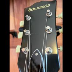 Edwards E-SA-125LTS_6