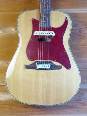 Fender SONORAN SCE (Original Modify)