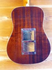 Fender SONORAN SCE (Original Modify)_2
