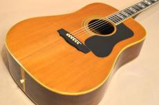 Guild D-55　1977年製_3