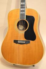 Guild D-55　1977年製_5