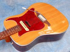 Fender SONORAN SCE (Original Modify)_4