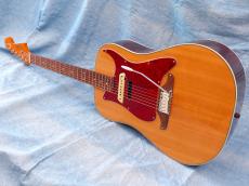 Fender SONORAN SCE (Original Modify)_6