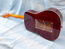Fender SONORAN SCE (Original Modify)_7