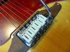 Fender SONORAN SCE (Original Modify)_8