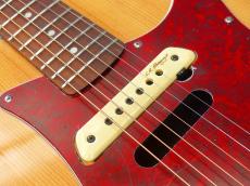 Fender SONORAN SCE (Original Modify)_9