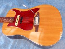 Fender SONORAN SCE (Original Modify)_10
