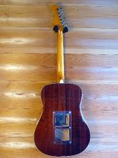 Fender SONORAN SCE (Original Modify)_15