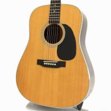 Martin D-28 *2009_3