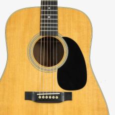 Martin D-28 *2009_5