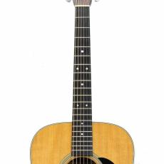 Martin D-28 *2009_6
