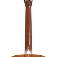 Martin D-28 *2009_9
