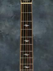 Taylor 816ce-ES2_4