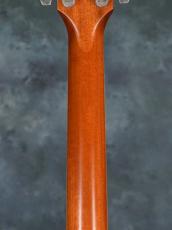 Taylor 816ce-ES2_12