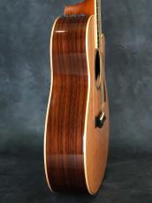 Taylor 816ce-ES2_15