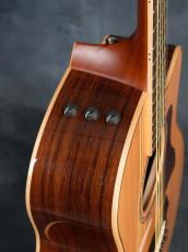 Taylor 816ce-ES2_17