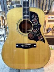 YAMAHA FG-401W