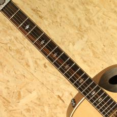 Taylor Builder's Edition 816ce V-Class 2023_6