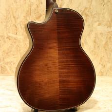 Taylor Builder's Edition 614ce V-Class_2