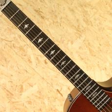 Taylor Builder's Edition 614ce V-Class_6