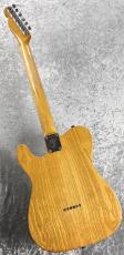 Fender 【1968年製】Telecaster Thinline -Ash- ≒3.10kg_9
