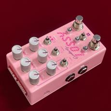 Chase Bliss Audio Lossy_8