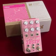 Chase Bliss Audio Lossy_10