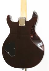 Wisdom DC5 / Brown Amber 【HERCULESプレゼント中】【フジゲン製】【Made in Japan】_3