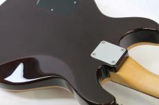 Wisdom DC5 / Brown Amber 【HERCULESプレゼント中】【フジゲン製】【Made in Japan】_4