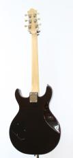 Wisdom DC5 / Brown Amber 【HERCULESプレゼント中】【フジゲン製】【Made in Japan】_6