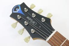 Wisdom DC5 / Brown Amber 【HERCULESプレゼント中】【フジゲン製】【Made in Japan】_8