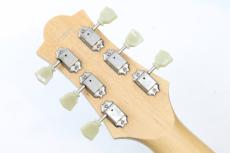 Wisdom DC5 / Brown Amber 【HERCULESプレゼント中】【フジゲン製】【Made in Japan】_10