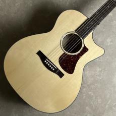 Eastman PCH3-GACE 【現物写真】