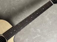 Eastman PCH3-GACE 【現物写真】_5
