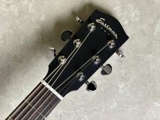 Eastman PCH3-GACE 【現物写真】_6