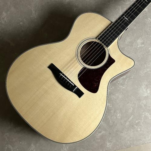 Eastman AC322CE 【現物写真】