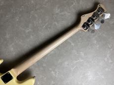 FREEDOM CUSTOM GUITAR RESEARCH C.S.Retro Series JB_10