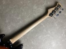 FREEDOM CUSTOM GUITAR RESEARCH C.S.Retro Series JB_9
