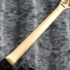 KRAMER Baretta Ebony_7