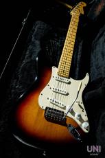 Fender American Standard Stratocaster / 2008_10