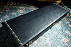 Fender American Standard Stratocaster / 2008_11