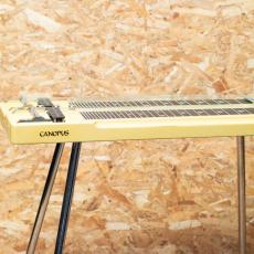 CANOPUS 8弦 Double Neck Steel Guitar_4