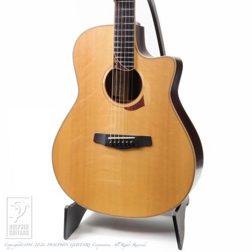 Yokoyama Guitars AR-GC