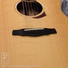 Yokoyama Guitars AR-GC_11