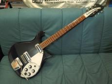 Rickenbacker 615