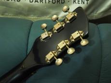 Rickenbacker 615_6