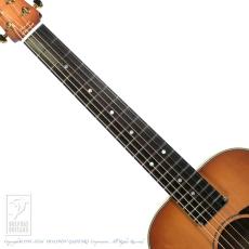 Maton EMD6 (Mini Maton Diesel Special)【60回無金利対象品】_5