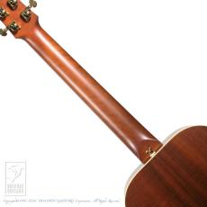 Maton EMD6 (Mini Maton Diesel Special)【60回無金利対象品】_6